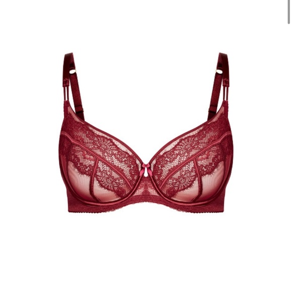 2 Piece Merlot Bra and Panty Set - Picture 13 of 16